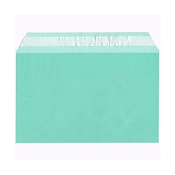 JAM Paper Cellophane Envelope with Self-Adhesive Closure, 5.4375 x 8.625, Green, 100/Pack (2783141)