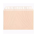 JAM Paper Cellophane Envelope with Self-Adhesive Closure, 5.4375 x 8.625, Peach, 100/Pack (2783142)