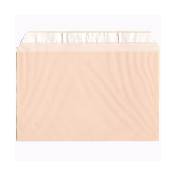 JAM Paper Cellophane Envelope with Self-Adhesive Closure, 5.4375 x 8.625, Peach, 100/Pack (2783142)