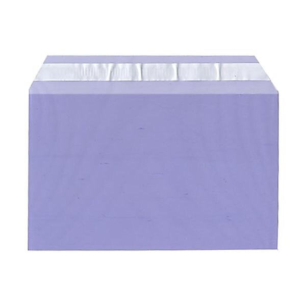 JAM Paper Cellophane Envelope with Self-Adhesive Closure, 5.4375 x 8.625, Purple, 100/Pack (2784899)