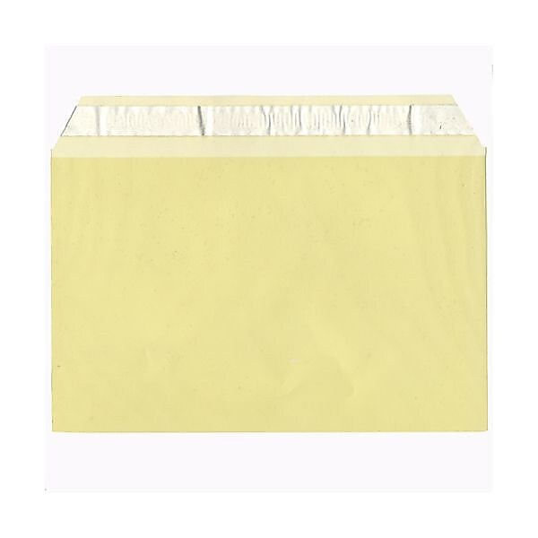 JAM Paper Cellophane Envelope with Self-Adhesive Closure, 5.4375 x 8.625, Yellow, 100/Pack (2783145)