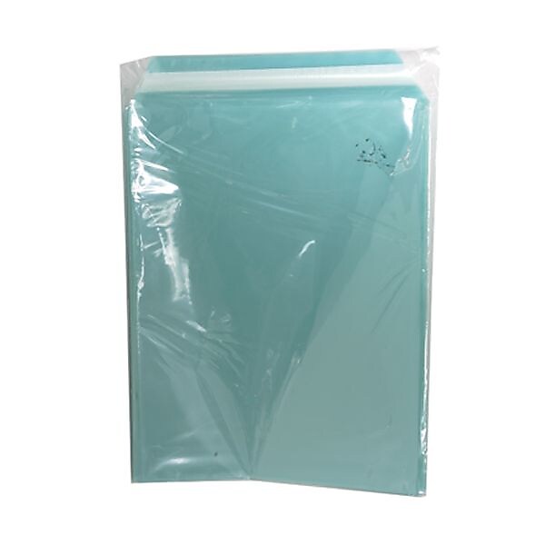 JAM Paper Cellophane Envelope with Self-Adhesive Closure, 8.9375 x 11.25, Aqua Blue, 100/Pack (811BL1)