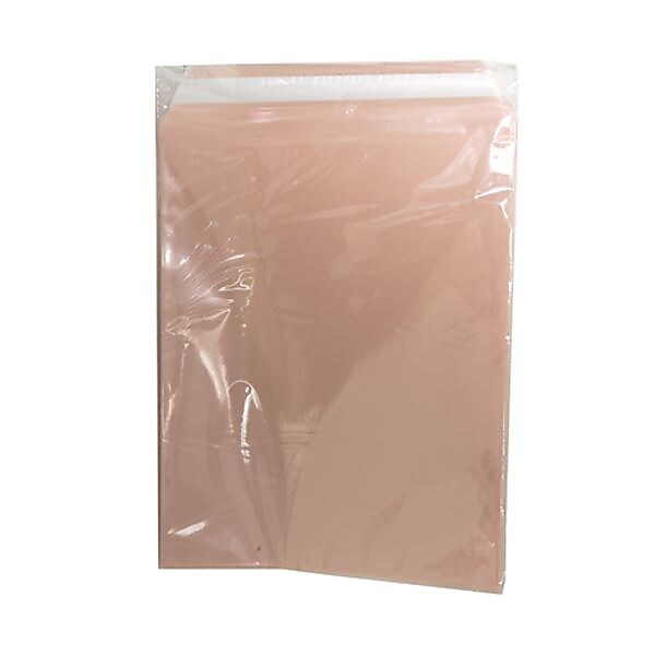 JAM Paper Cellophane Envelope with Self-Adhesive Closure, 8.9375 x 11.25, Peach, 100/Pack (2783725)