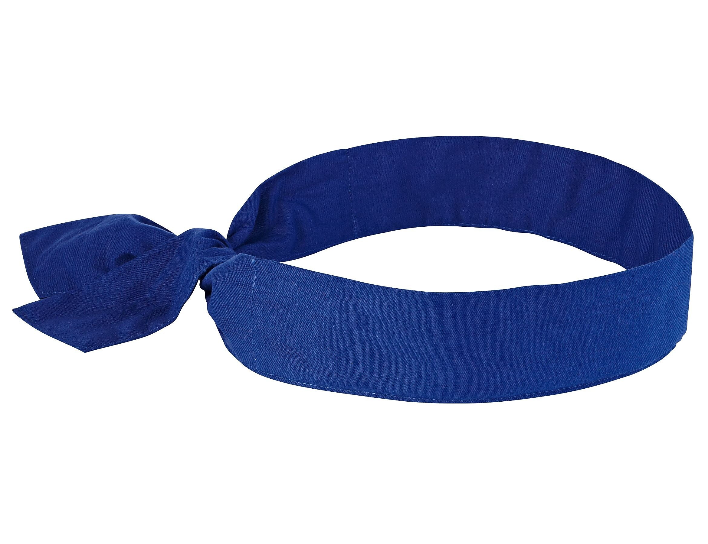 Ergodyne Chill-Its 6700 Cooling Bandana, Royal Blue, One Size, 24/Carton (12307)