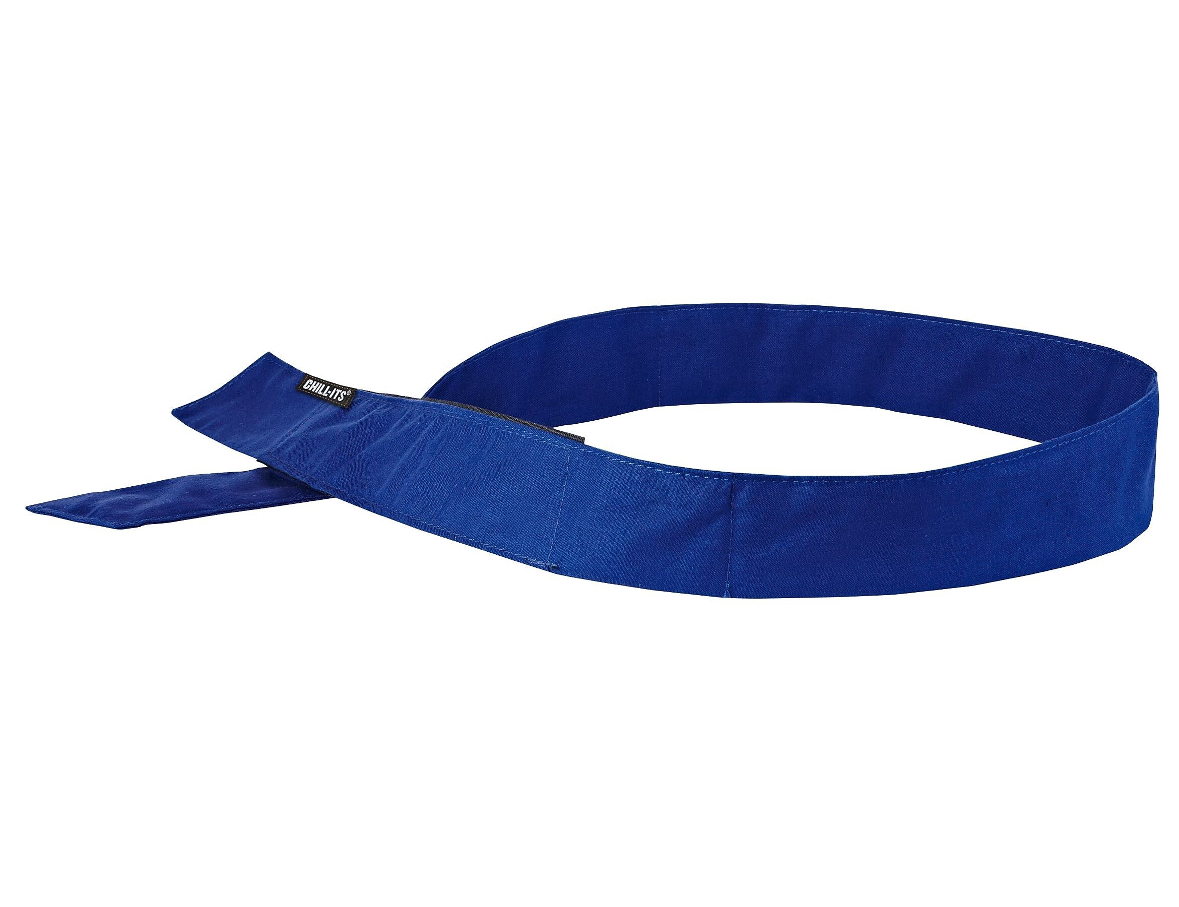 Ergodyne Chill-Its 6705 Evaporative Cooling Bandana, Blue, One Size, 24/Carton (12317)