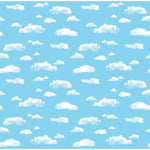 Pacon® Fadeless® 48" x 12' Ultra Fade-Resistant Paper, Clouds