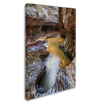 Trademark Pierre Leclerc "Subway 14mm" Gallery-Wrapped Canvas Art, 16" x 24"