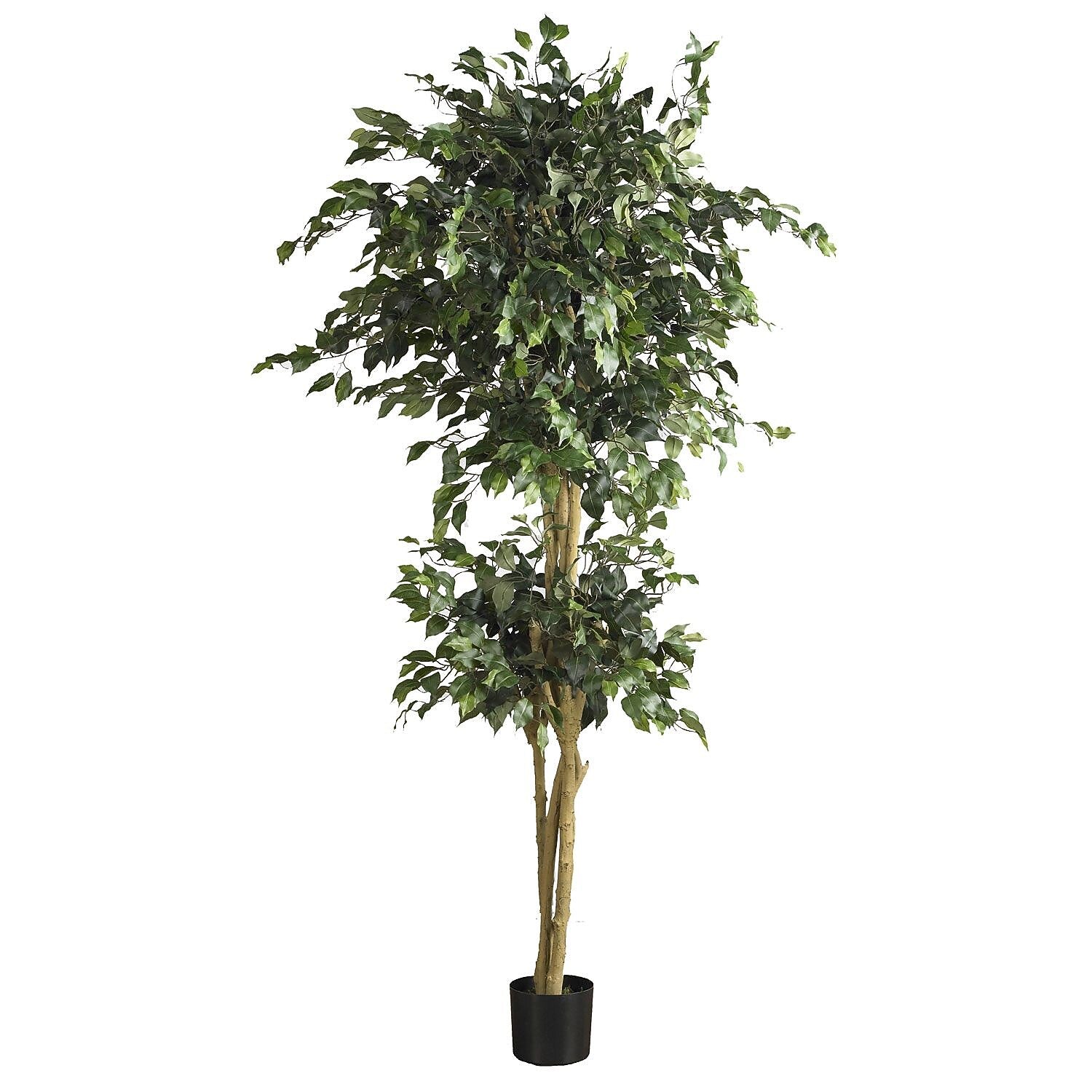Nearly Natural 5268 6' Double Ball Ficus Tree in Pot