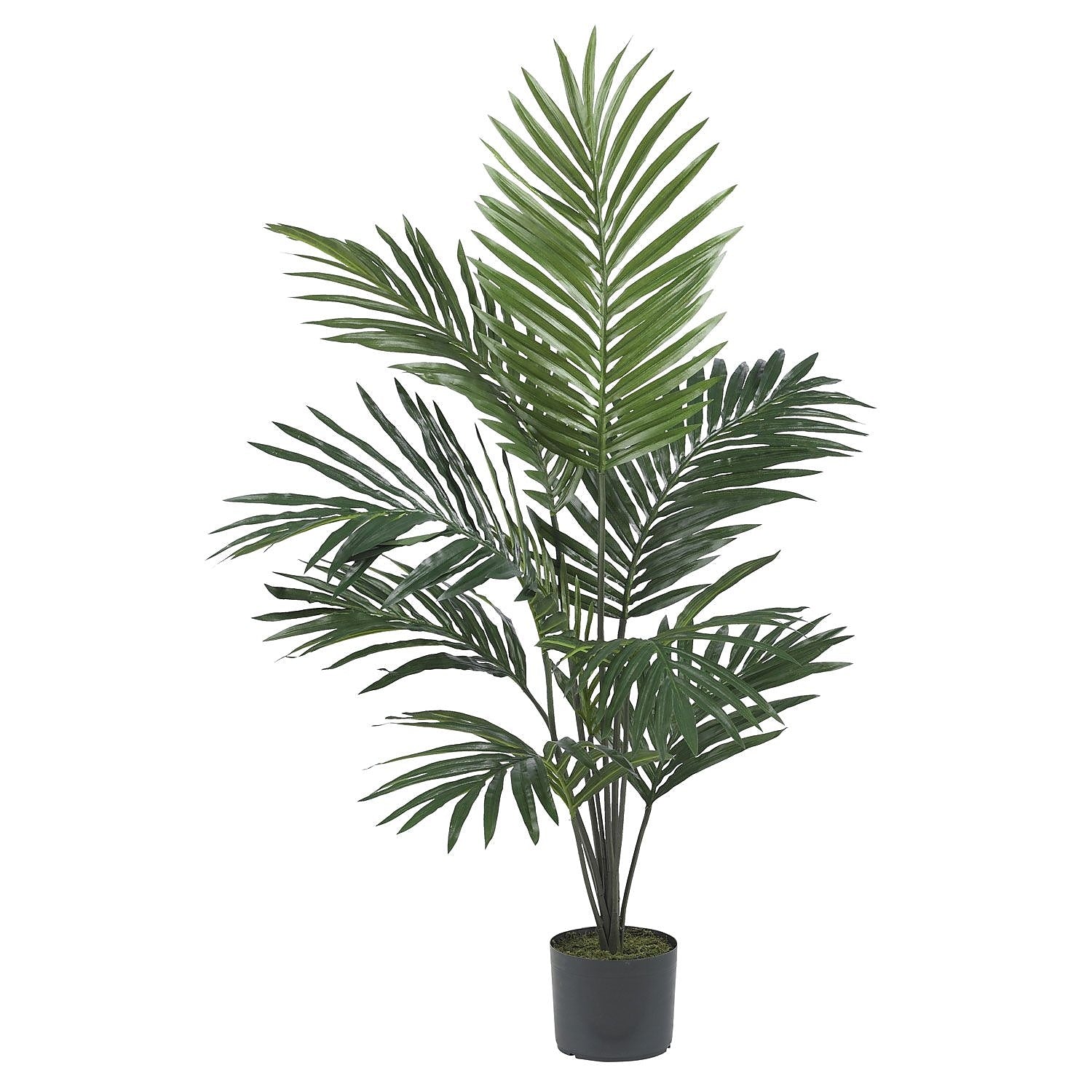 Nearly Natural 5296 5' Kentia Palm Silk Tree in Pot