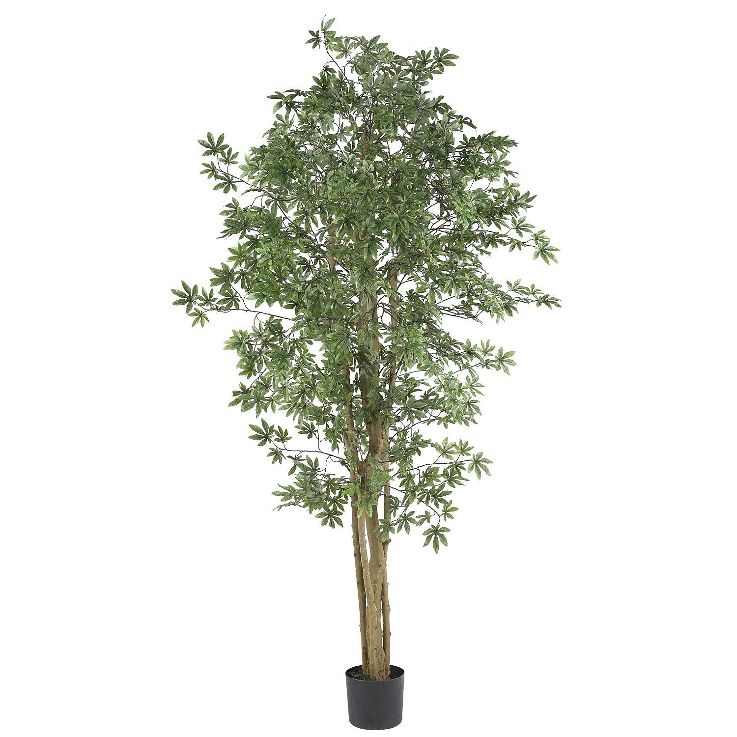 Nearly Natural 5297 6' Japanese Maple Silk Tree in Pot