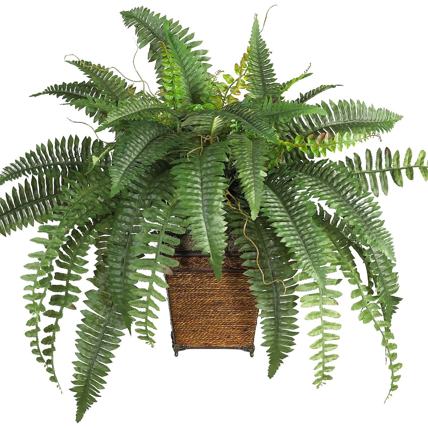 Nearly Natural Boston Fern Plant in Pot (6549)