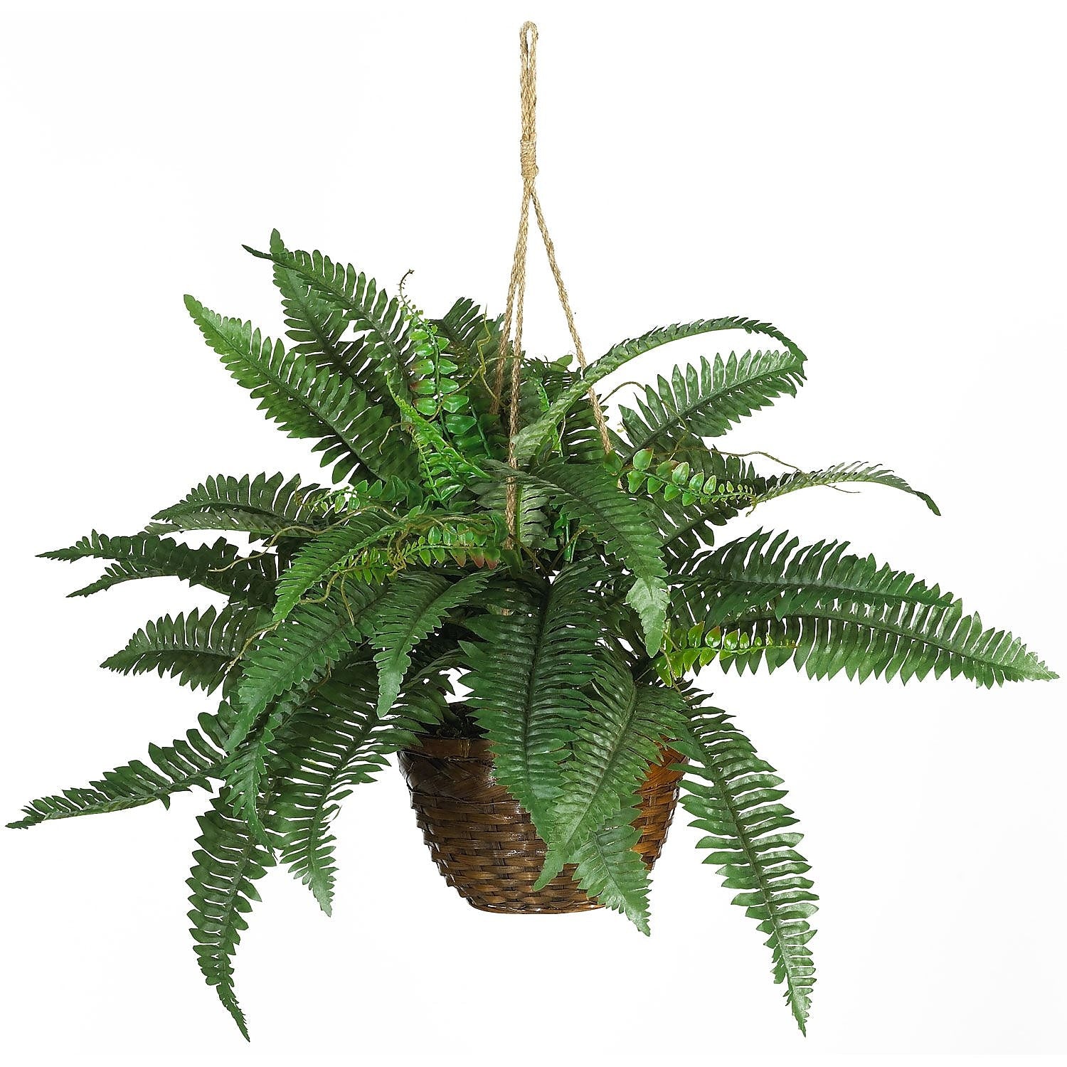 Nearly Natural 6599 Boston Fern Hanging Plant in Basket