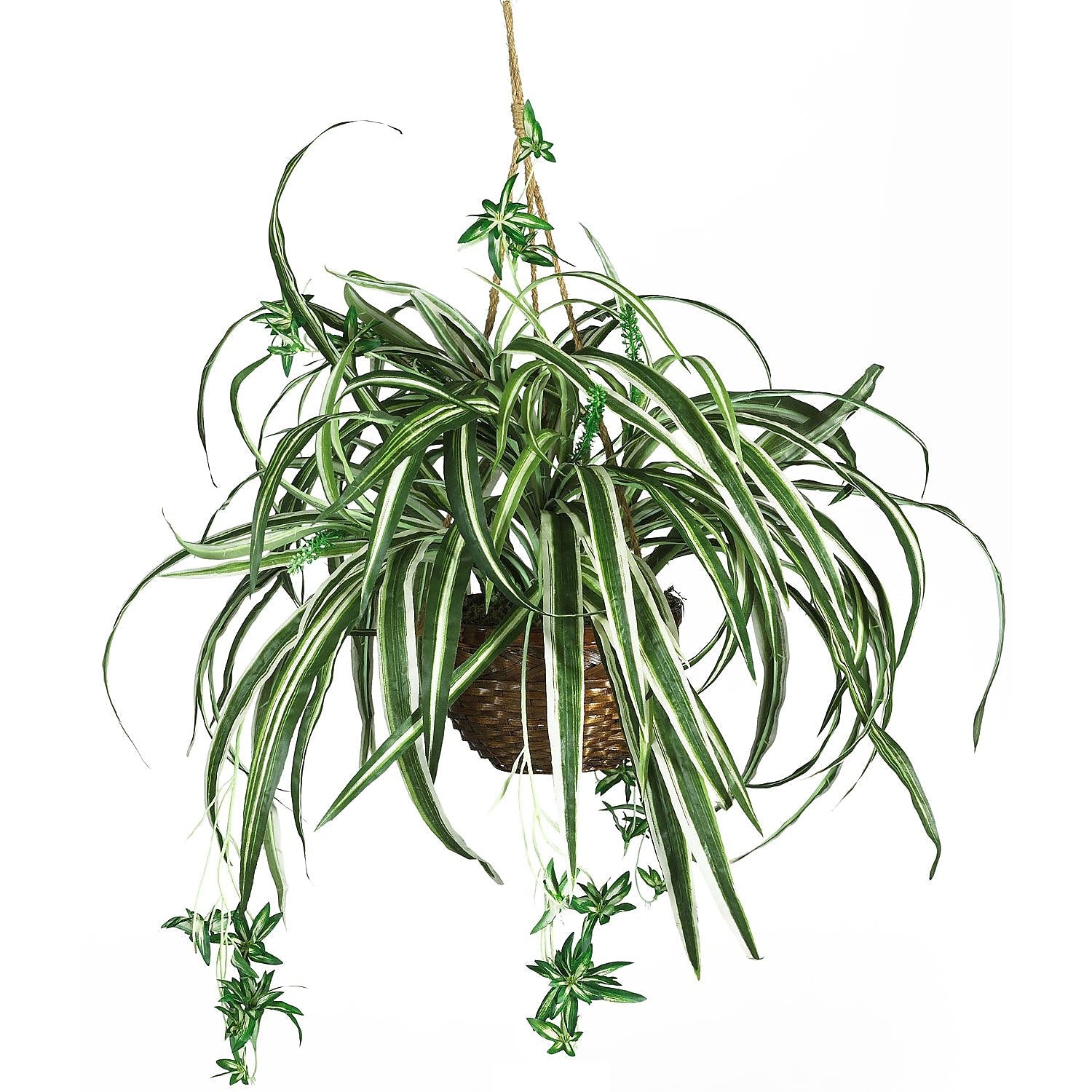 Nearly Natural 6607 Spider Hanging Plant in Basket