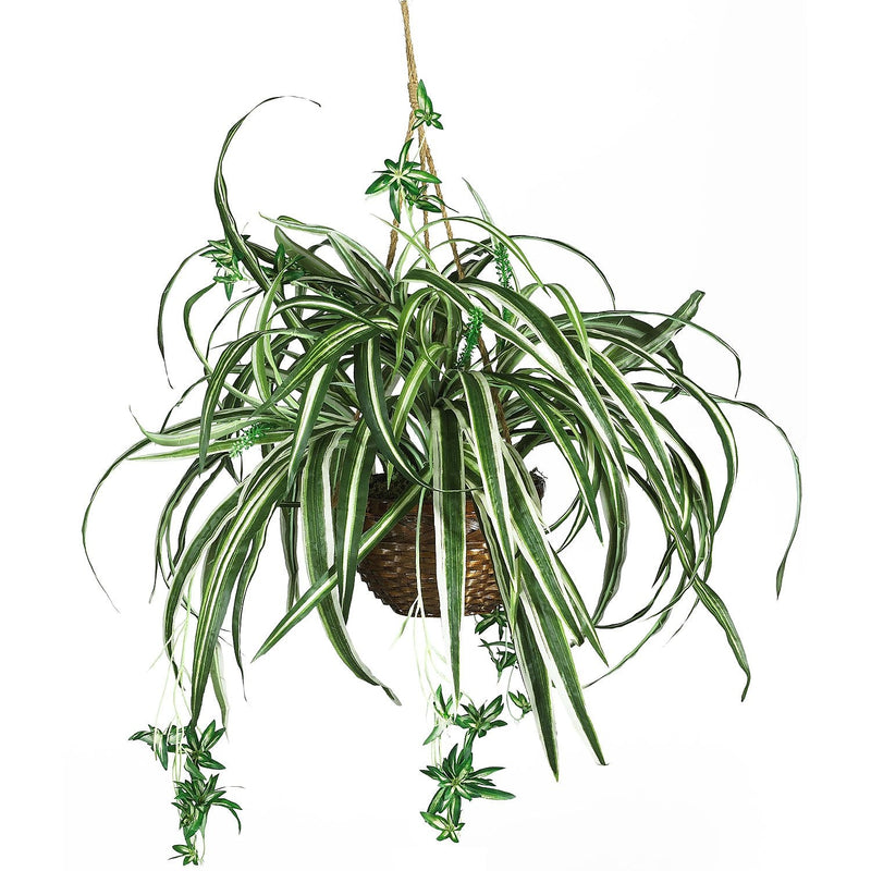 Nearly Natural 6607 Spider Hanging Plant in Basket