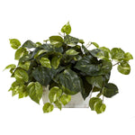 Nearly Natural 6713 Pothos Plant in White Wash Planter