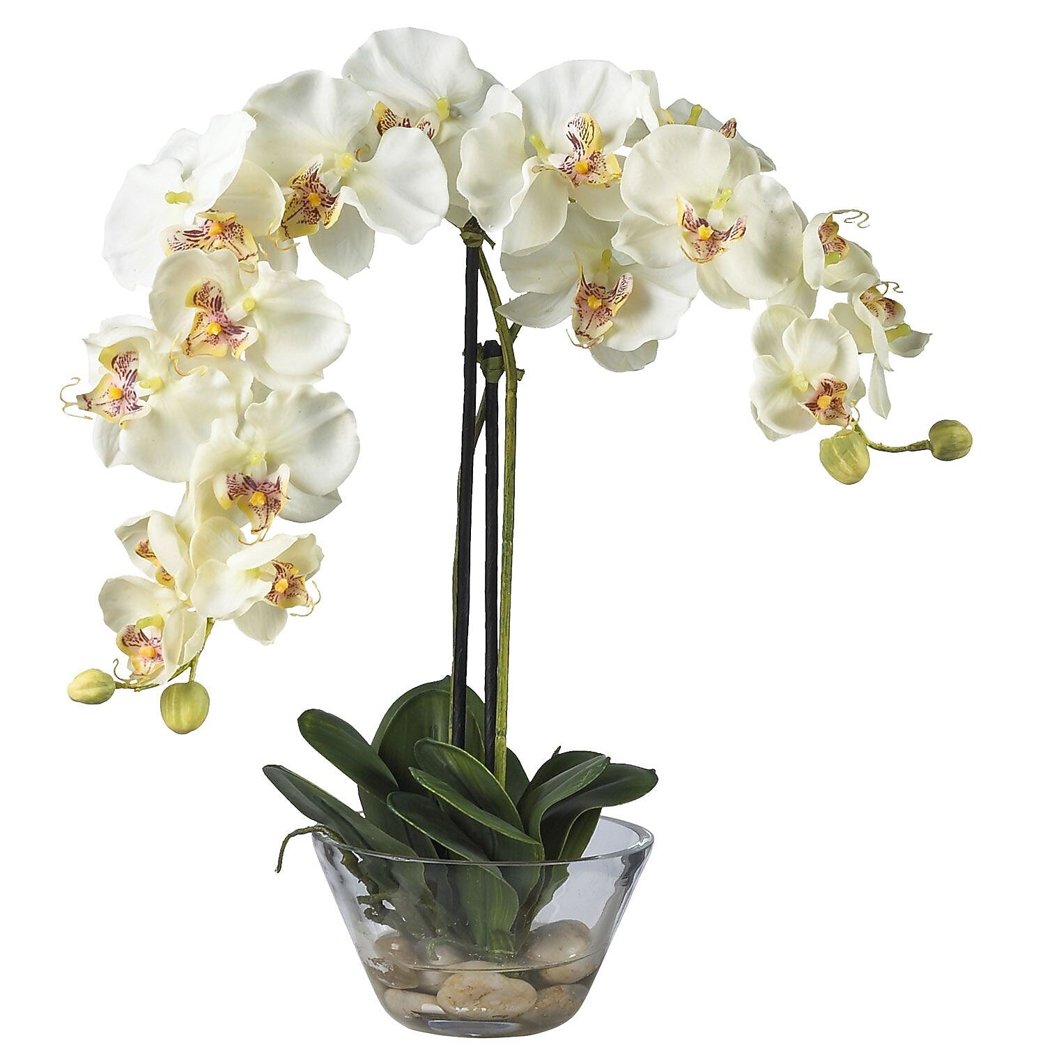 Nearly Natural 4643-WH Phalaenopsis with Vase Floral Arrangements, White
