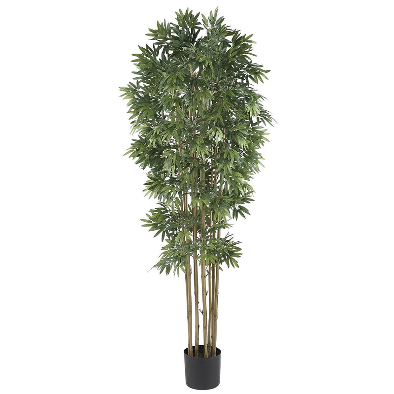 Nearly Natural 5045 6' Bamboo Japanica Tree in Pot