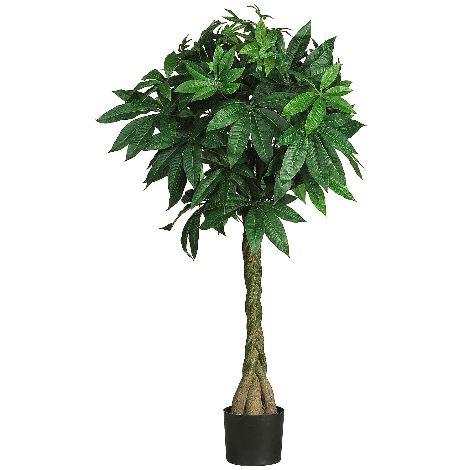 Nearly Natural 5249 51" Braided Money Tree in Pot