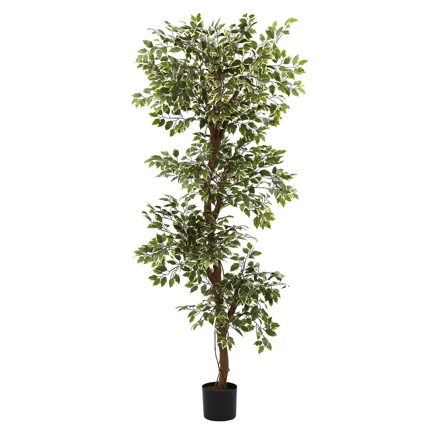 Nearly Natural 5345 6' Variegated Ficus Tree in Pot