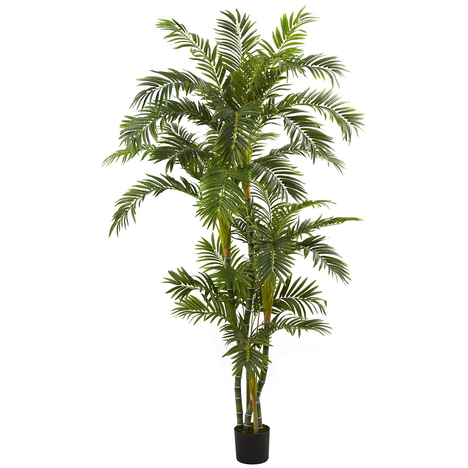 Nearly Natural 5348 6' Curvy Parlor Palm Tree in Pot