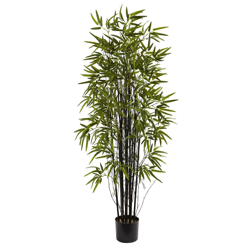 Nearly Natural 5418 5' Black Bamboo Tree in Pot