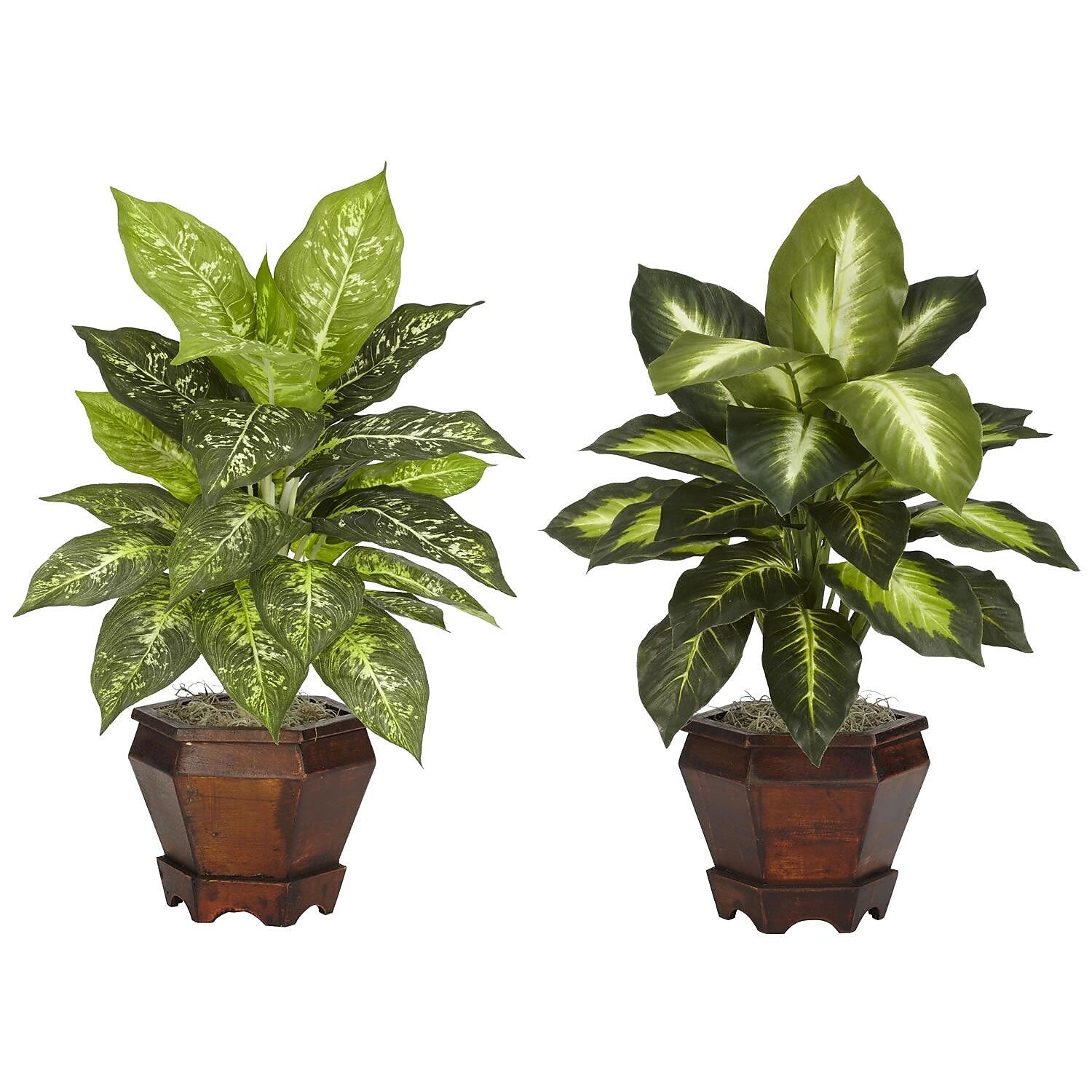 Nearly Natural 6712-AS-S2 Dieffenbachia Set of 2 Plant in Pot, Assorted