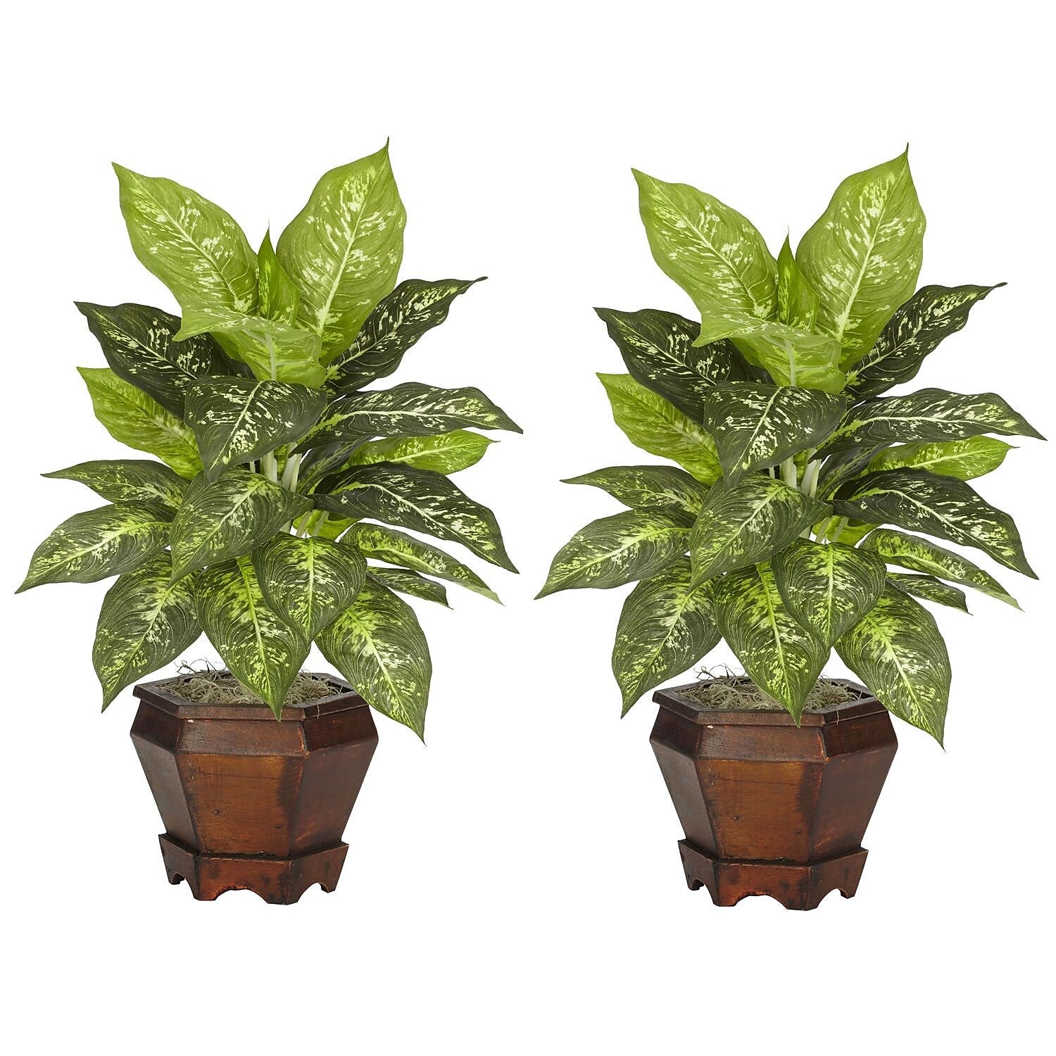 Nearly Natural 6712-VR-S2 Dieffenbachia Set of 2 Plant in Pot, Green