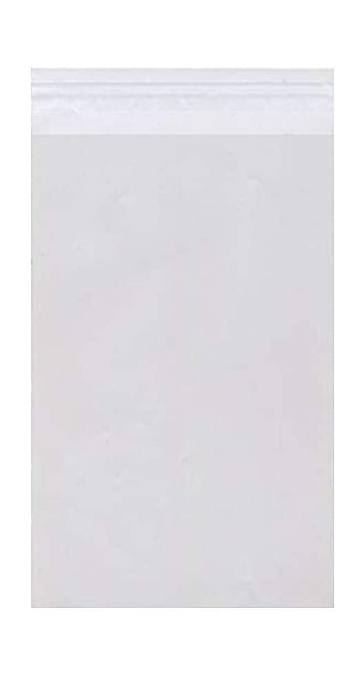 JAM Paper Cellophane Envelope with Self-Adhesive Closure, 9.25 x 12.25, Clear, 100/Pack (9.25X12.25CELLOB)