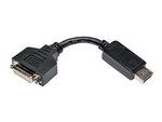Tripp Lite 6" Displayport to DVI Adapter, Black