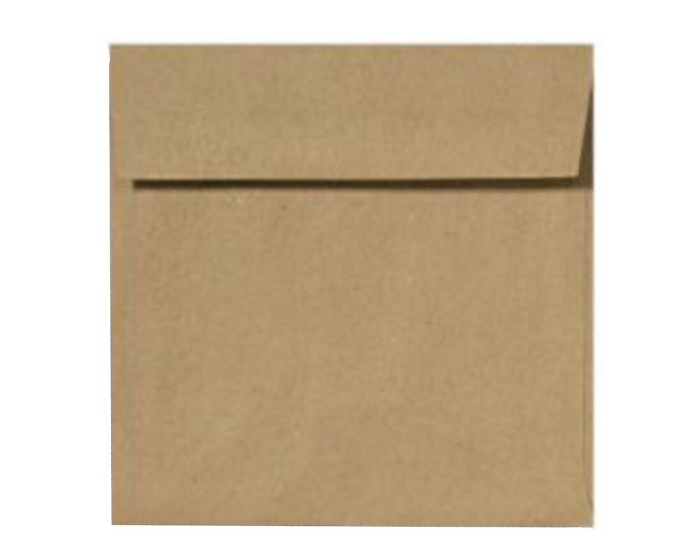 LUX 5 1/2 x 5 1/2 Square Envelopes, 500/Box, Grocery Bag (8515-GB-500)