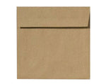 LUX 5 1/2 x 5 1/2 Square Envelopes, 500/Box, Grocery Bag (8515-GB-500)