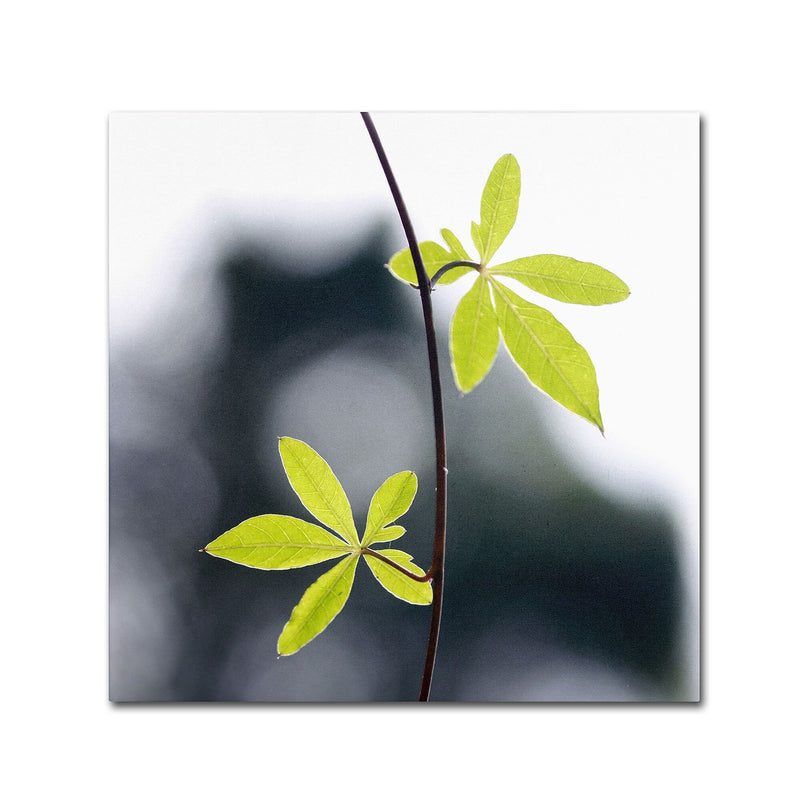 Trademark Fine Art BC0153-C1414GG "Two of Us" by Beata Czyzowska Young 14" x 14" Frameless Art
