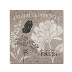 Trademark Fine Art WAP0102-C3535GG French Linen Garden III by Daphne Brissonnet 35x35 FRMLS Art