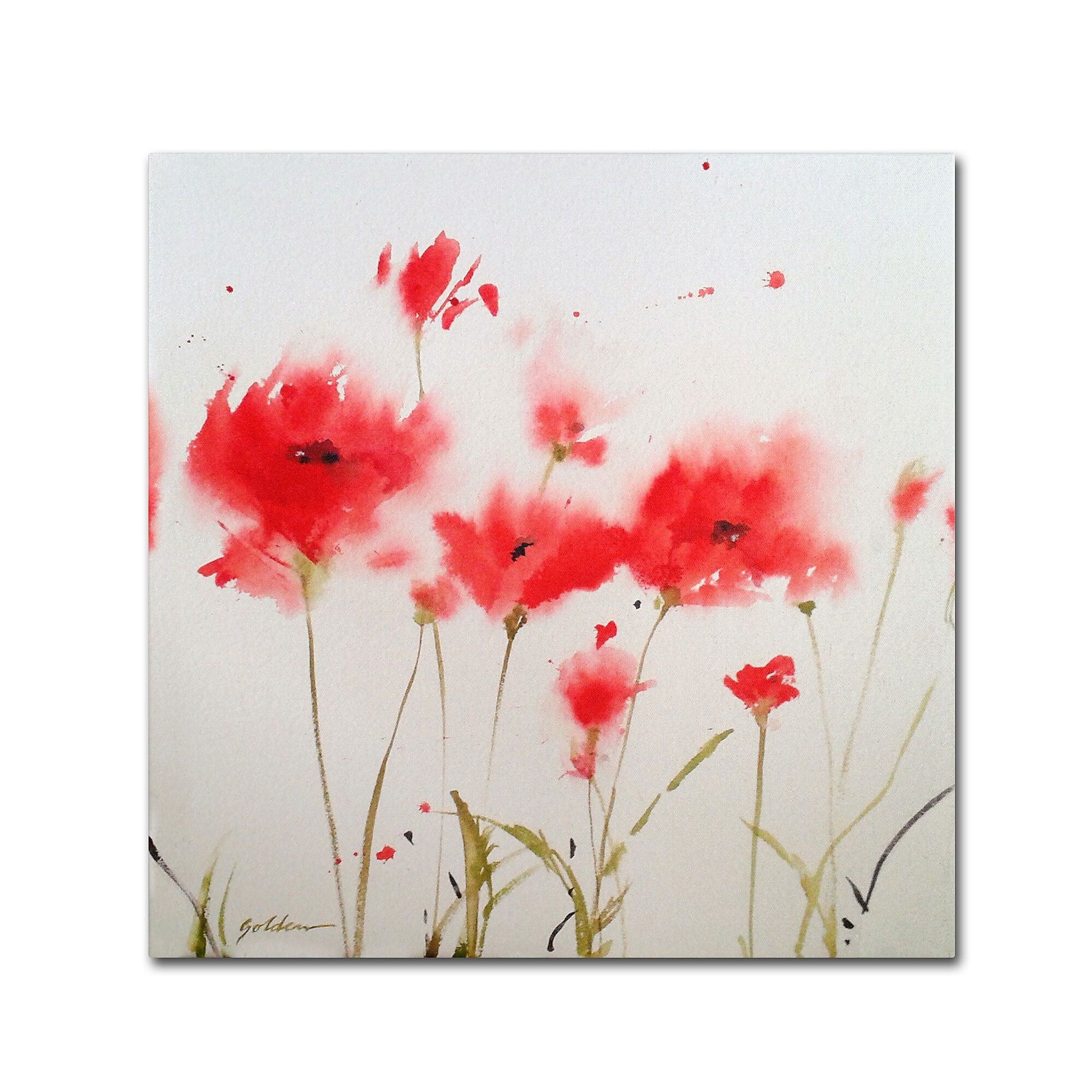 Trademark Fine Art SG5707-C3535GG "A Poppy Moment" by Sheila Golden 35" x 35" Frameless Art