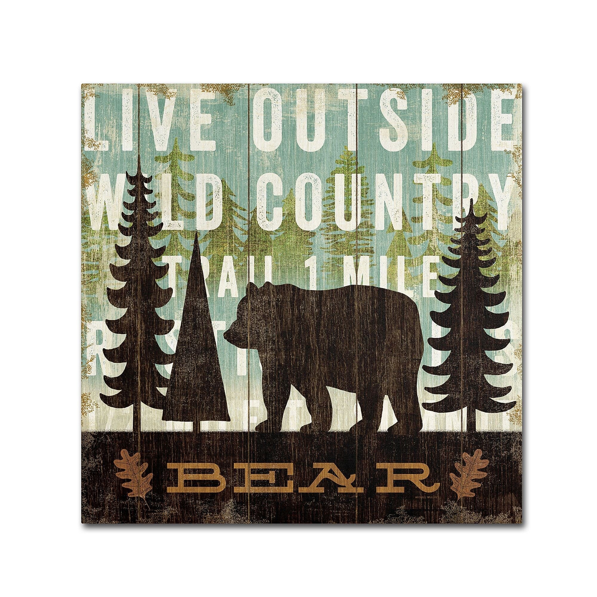Trademark Fine Art WAP0120-C2424GG "Simple Living Bear" by Michael Mullan 24" x 24" Frameless Art