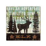 Trademark Fine Art WAP0121-C3535GG "Simple Living Elk" by Michael Mullan 35" x 35" Frameless Art