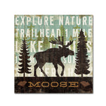 Trademark Fine Art WAP0119-C3535GG "Simple Living Moose" by Michael Mullan 35" x 35" Frameless Art