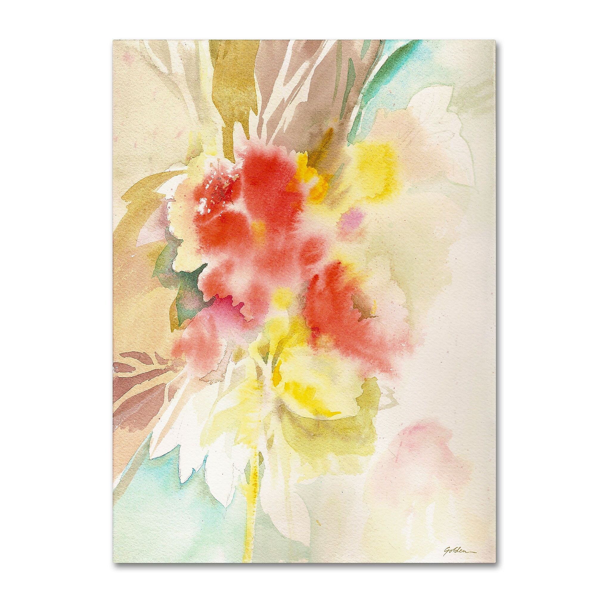 Trademark Fine Art SG5698-C3547GG "Red Flower Shadows" by Sheila Golden 47" x 35" Frameless Art
