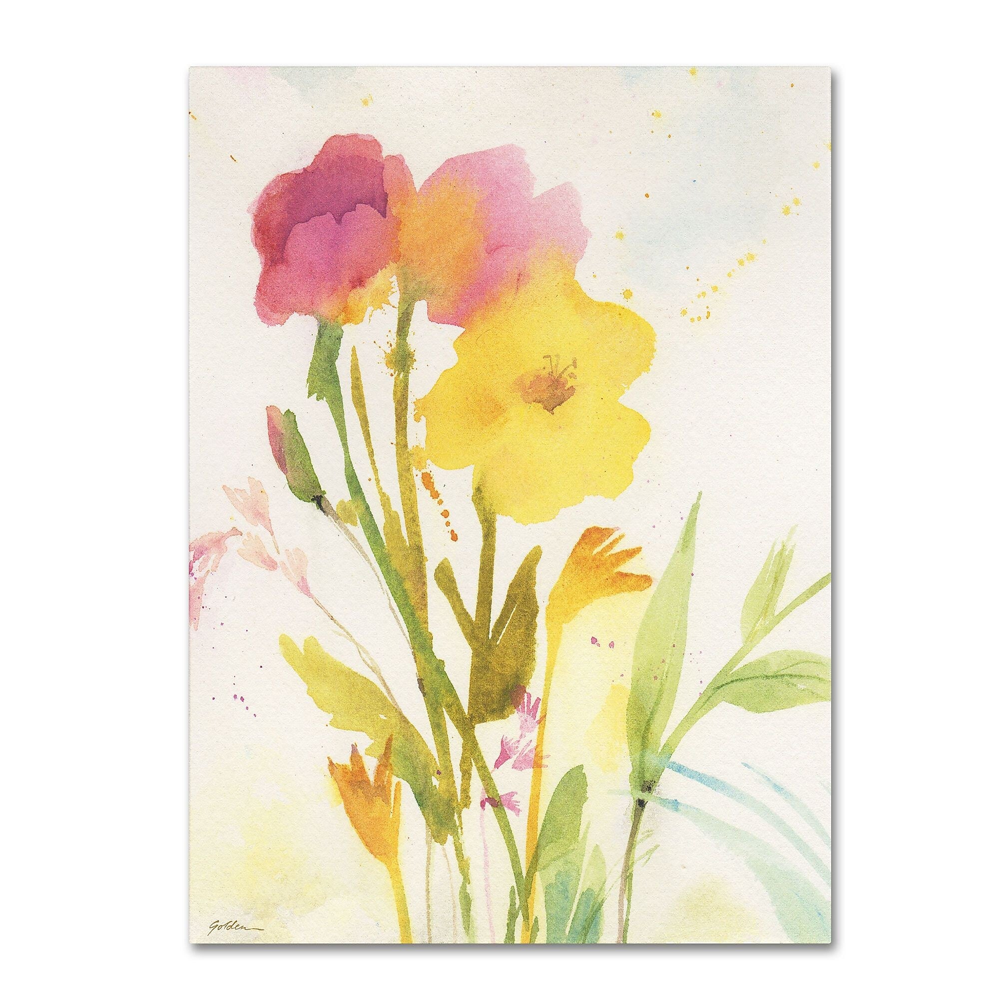 Trademark Fine Art SG5714-C2432GG "Wildflowers Against the Sky" by Sheila Golden 32" x 24" FRMLS Art