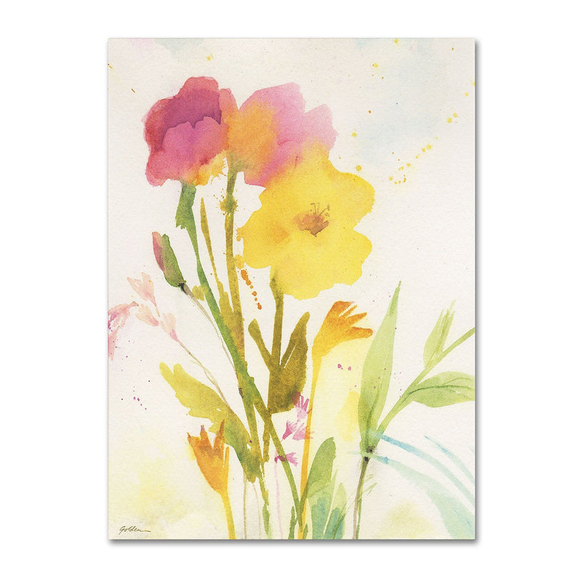 Trademark Fine Art SG5714-C1419GG "Wildflowers Against the Sky" by Sheila Golden 19" x 14" FRMLS Art