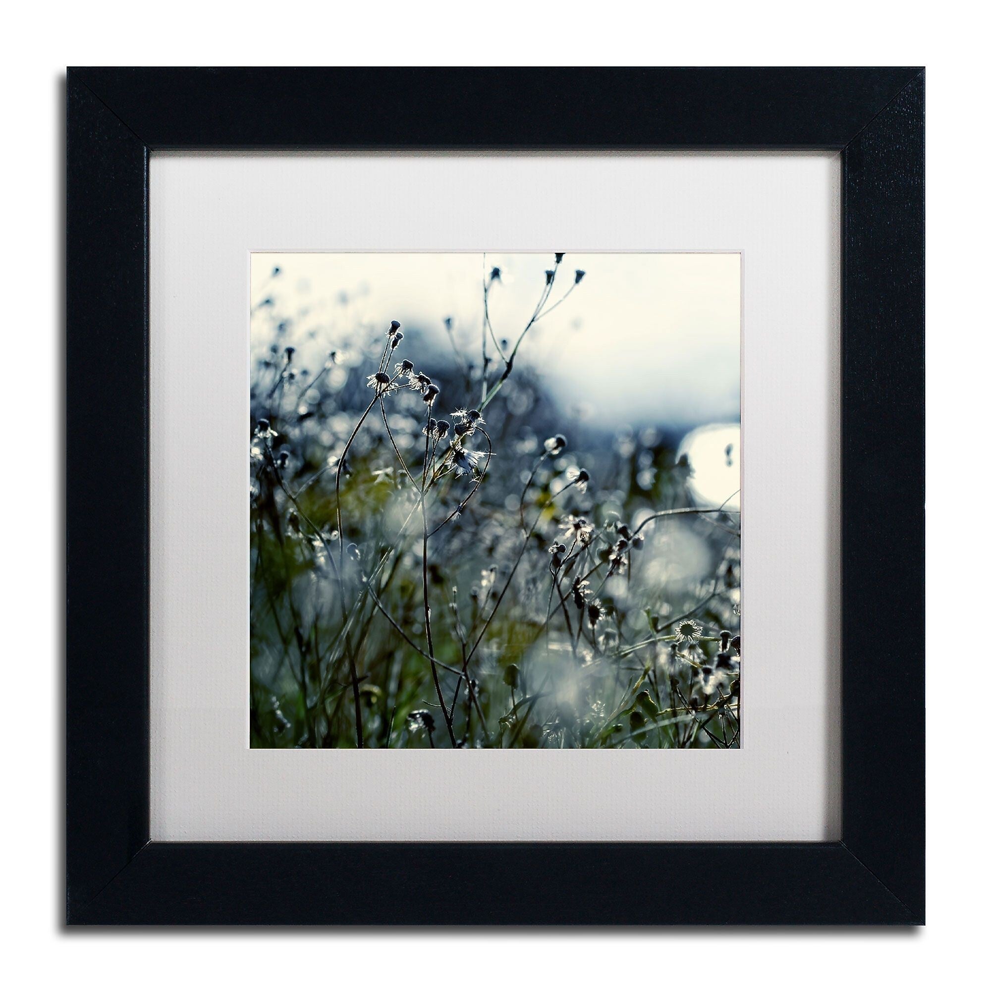 Trademark Fine Art BC0126-B1111MF "In Silence" by Beata Czyzowska Young 11" x 11" Framed Art
