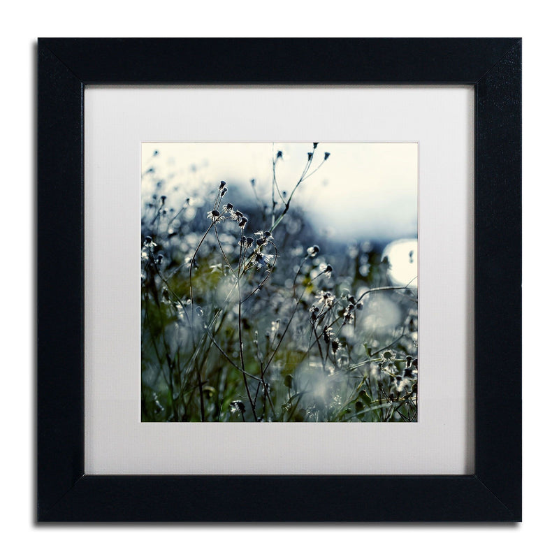 Trademark Fine Art BC0126-B1111MF "In Silence" by Beata Czyzowska Young 11" x 11" Framed Art
