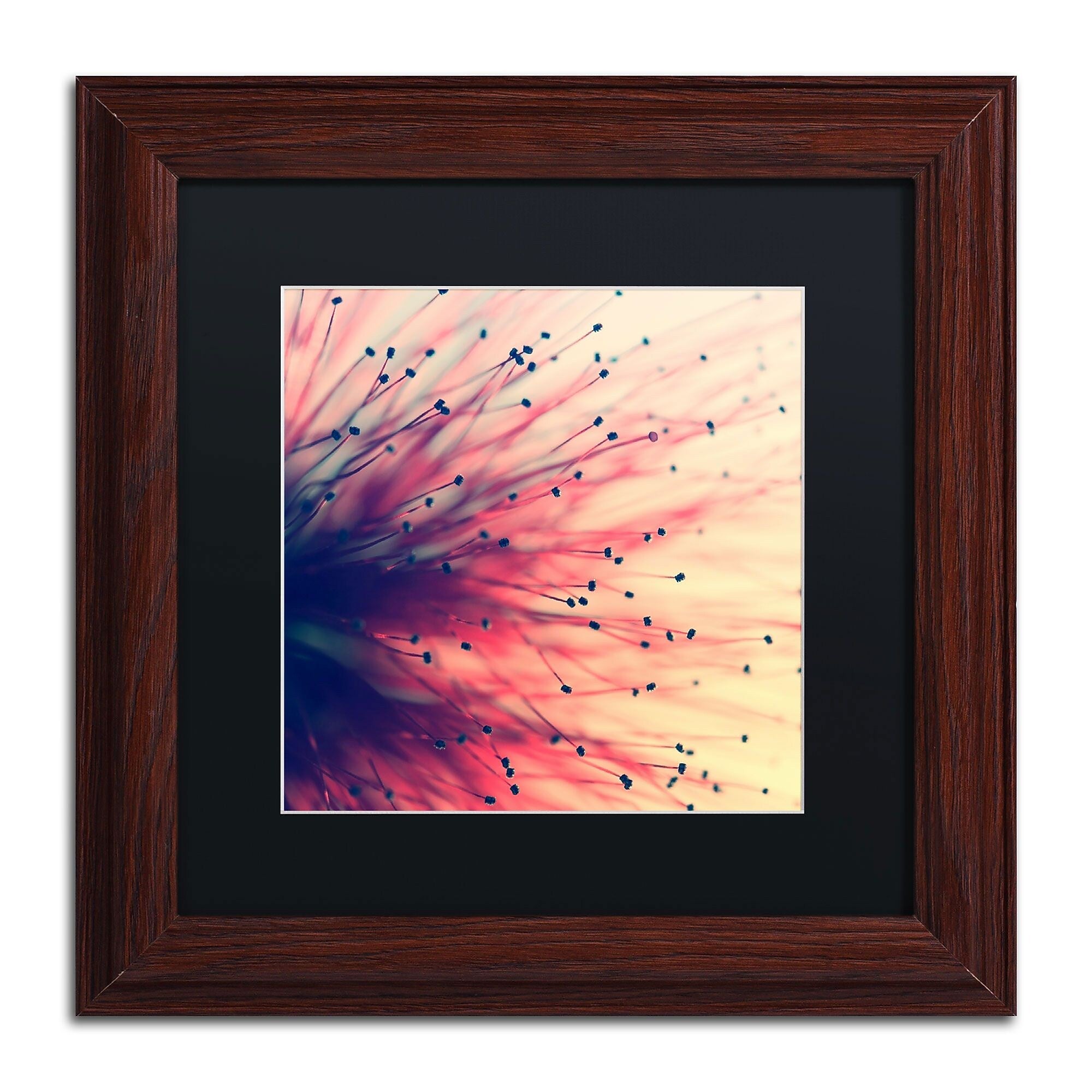 Trademark Fine Art BC0127-W1111BMF Into the Future by Beata Czyzowska Young 11x11 FRM Art, BLK MTD