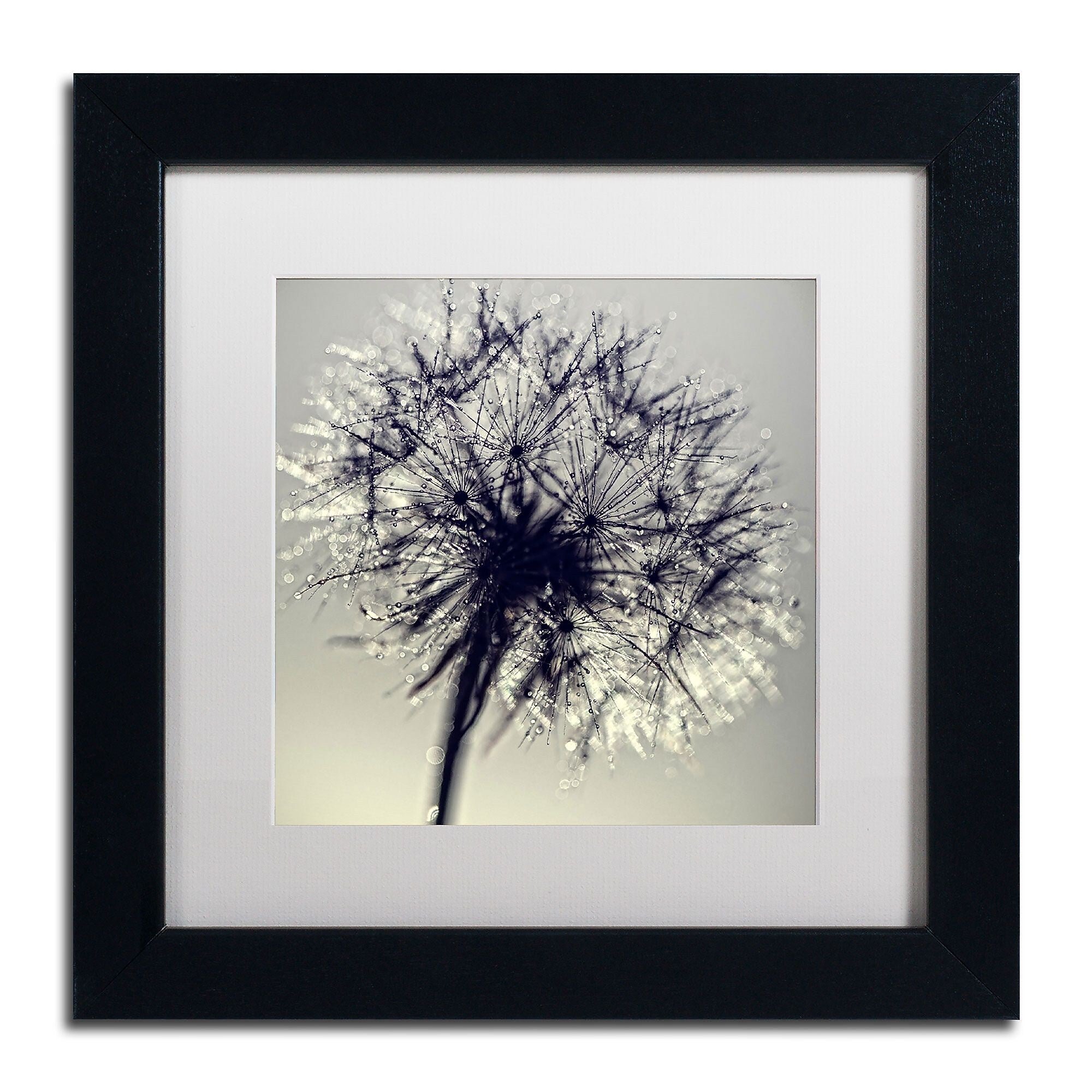 Trademark Fine Art BC0134-B1111MF Morning Sparkles by Beata Czyzowska Young 11Hx11W FRM Art, WHT MTD