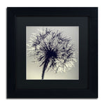 Trademark Fine Art Morning Sparkles by Beata Czyzowska Young 11Hx11W FRM Art, BLK MTD