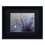 Trademark Fine Art BC0120-B1114BMF Evening Jewels by Beata Czyzowska Young 11x14 FRM Art, BLK MTD