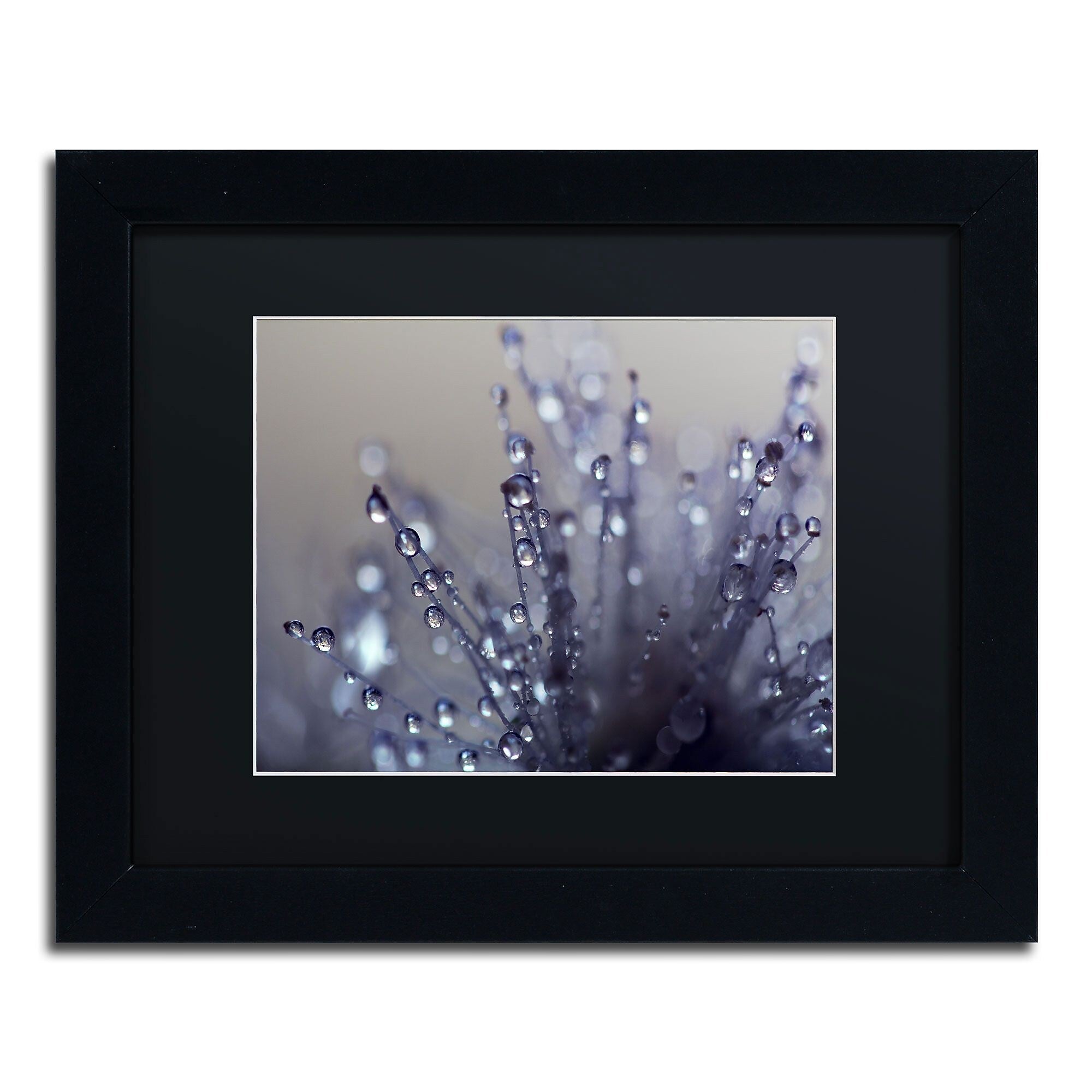Trademark Fine Art BC0120-B1114BMF Evening Jewels by Beata Czyzowska Young 11x14 FRM Art, BLK MTD