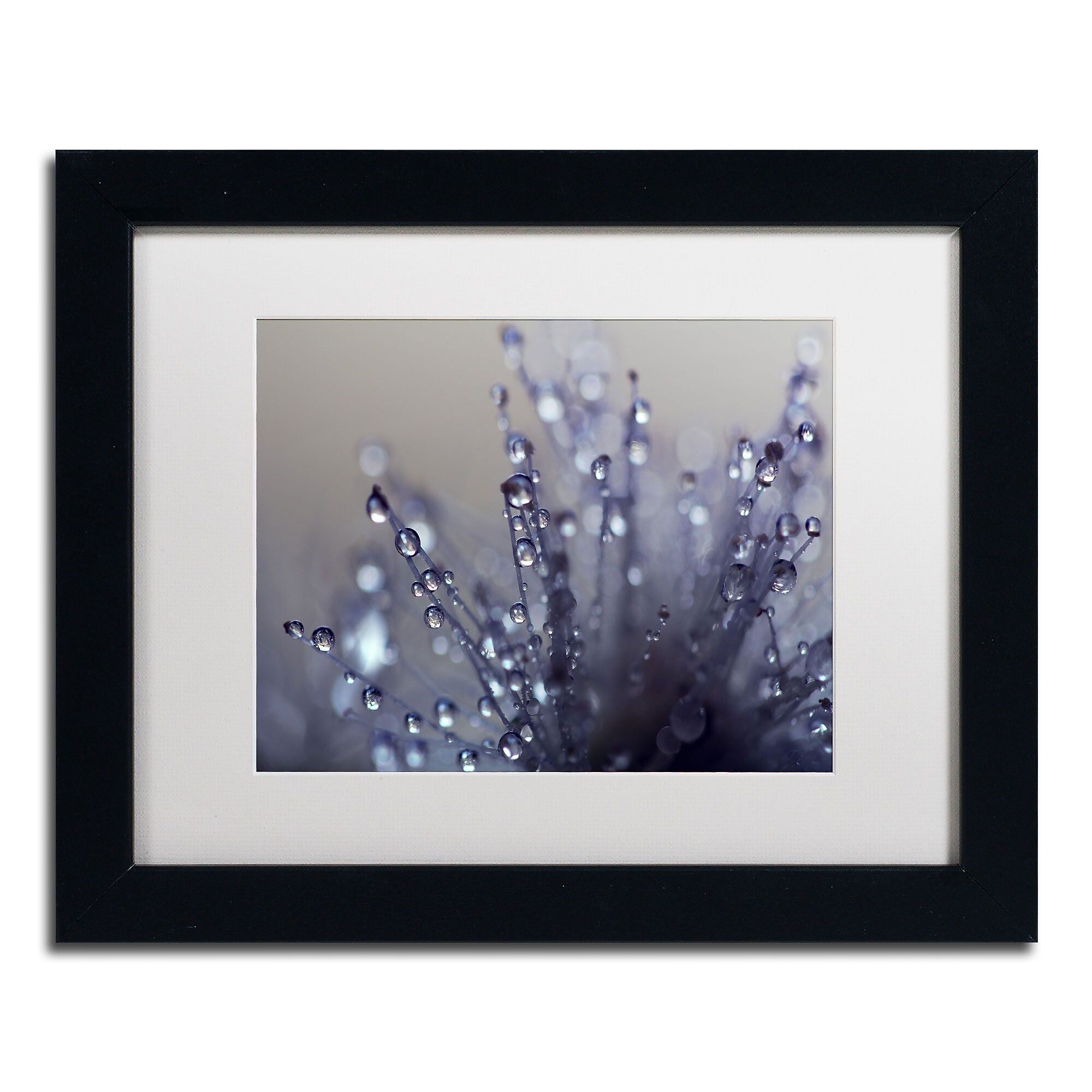 Trademark Fine Art BC0120-B1114MF Evening Jewels by Beata Czyzowska Young 11x14 FRM Art, WHT MTD