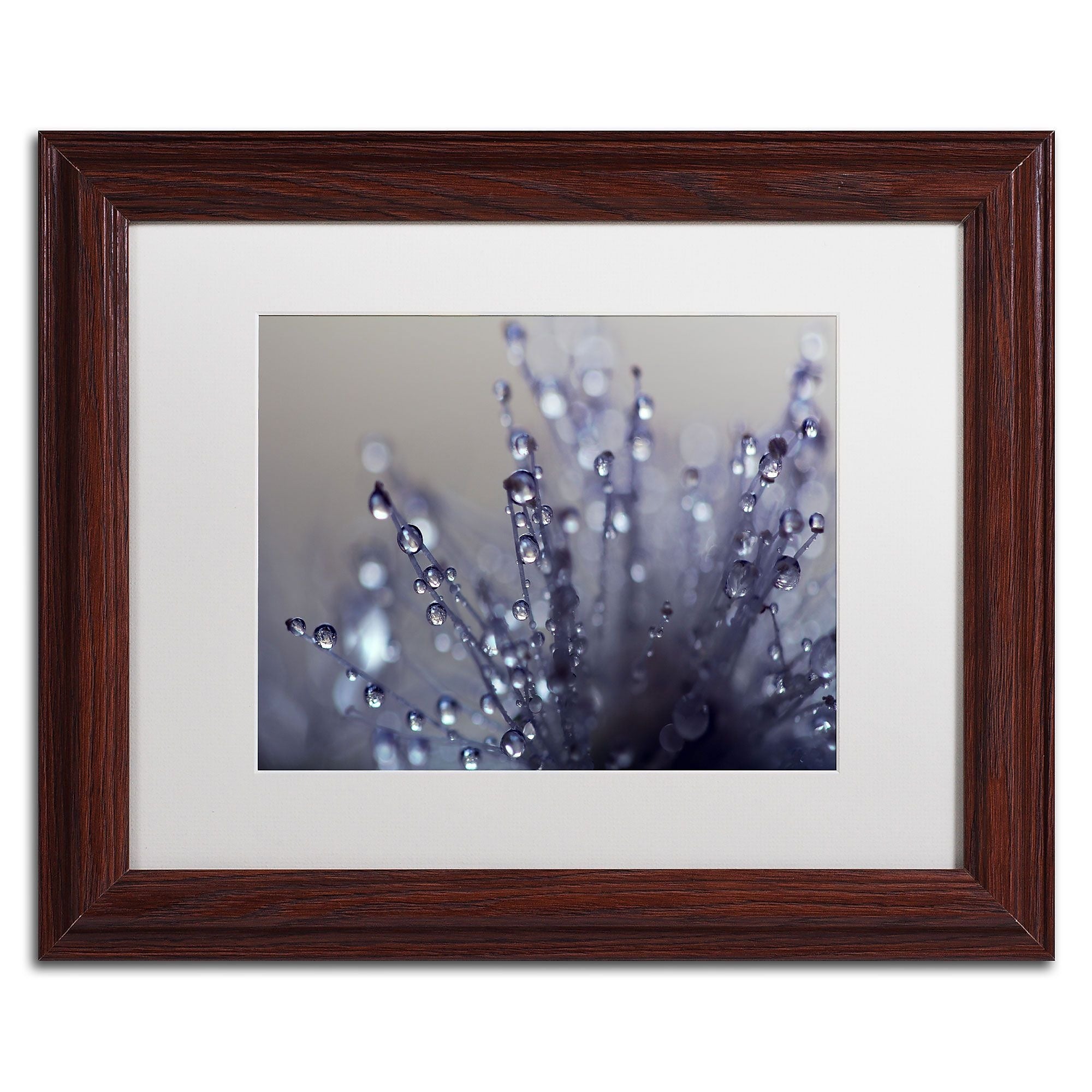 Trademark Fine Art BC0120-W1114MF Evening Jewels by Beata Czyzowska Young 11x14 FRM Art, WHT MTD