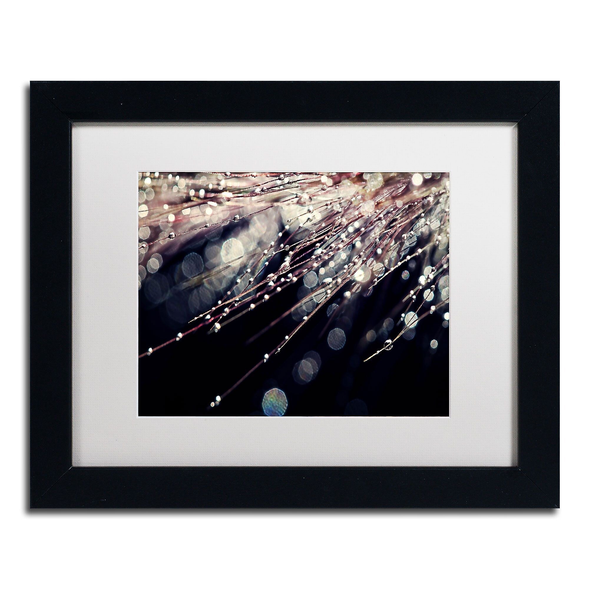 Trademark Fine Art BC0129-B1114MF Little Wonders by Beata Czyzowska Young 11x14 FRM Art, WHT MTD